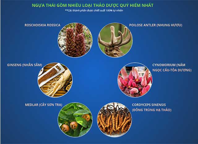 Thành phần của Ngựa thái chính hãng