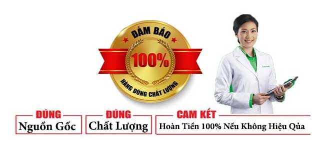 Cam kết 100% Ngựa thái chính hãng